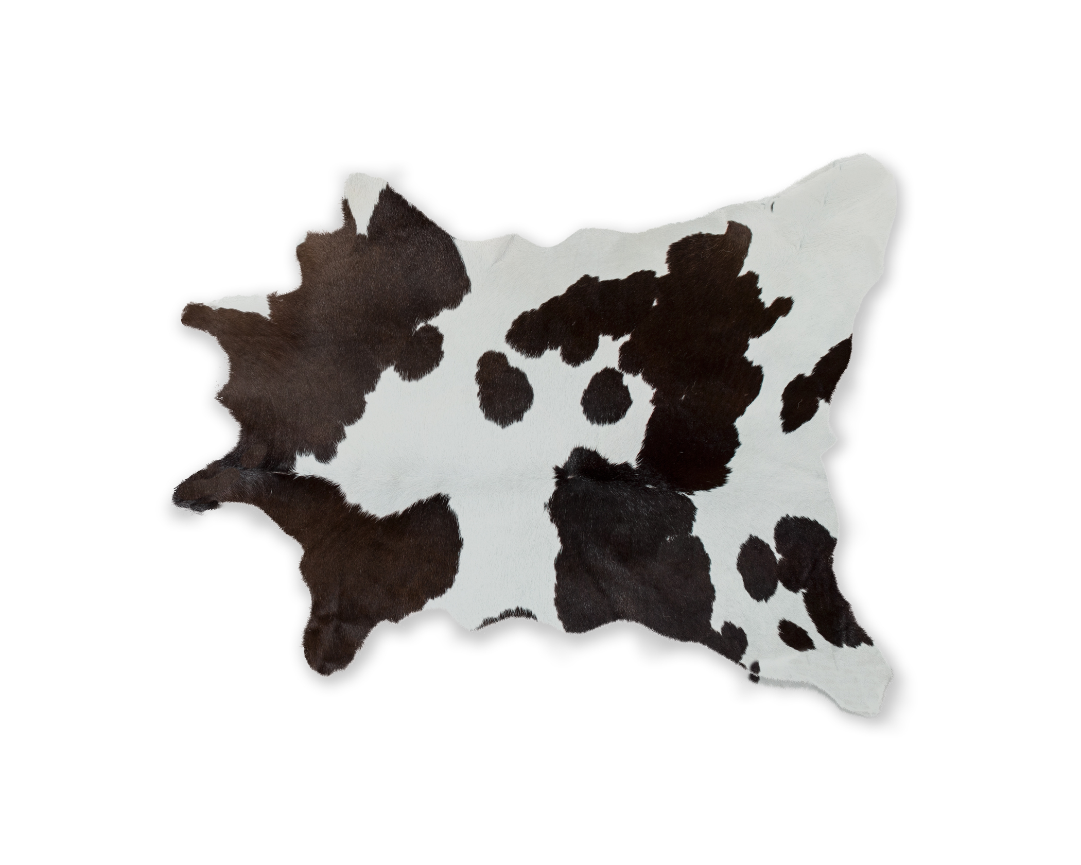 Natural Calfskin Rug Aprox 2\"x3\" Chocolate & White