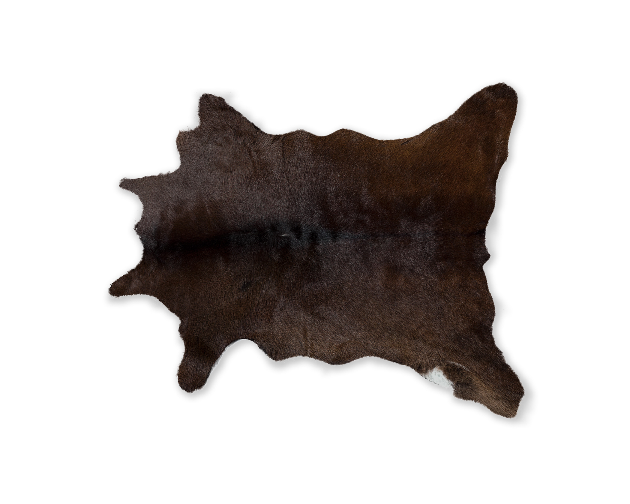 Natural Calfskin Rug Aprox 2\"x3\" Chocolate