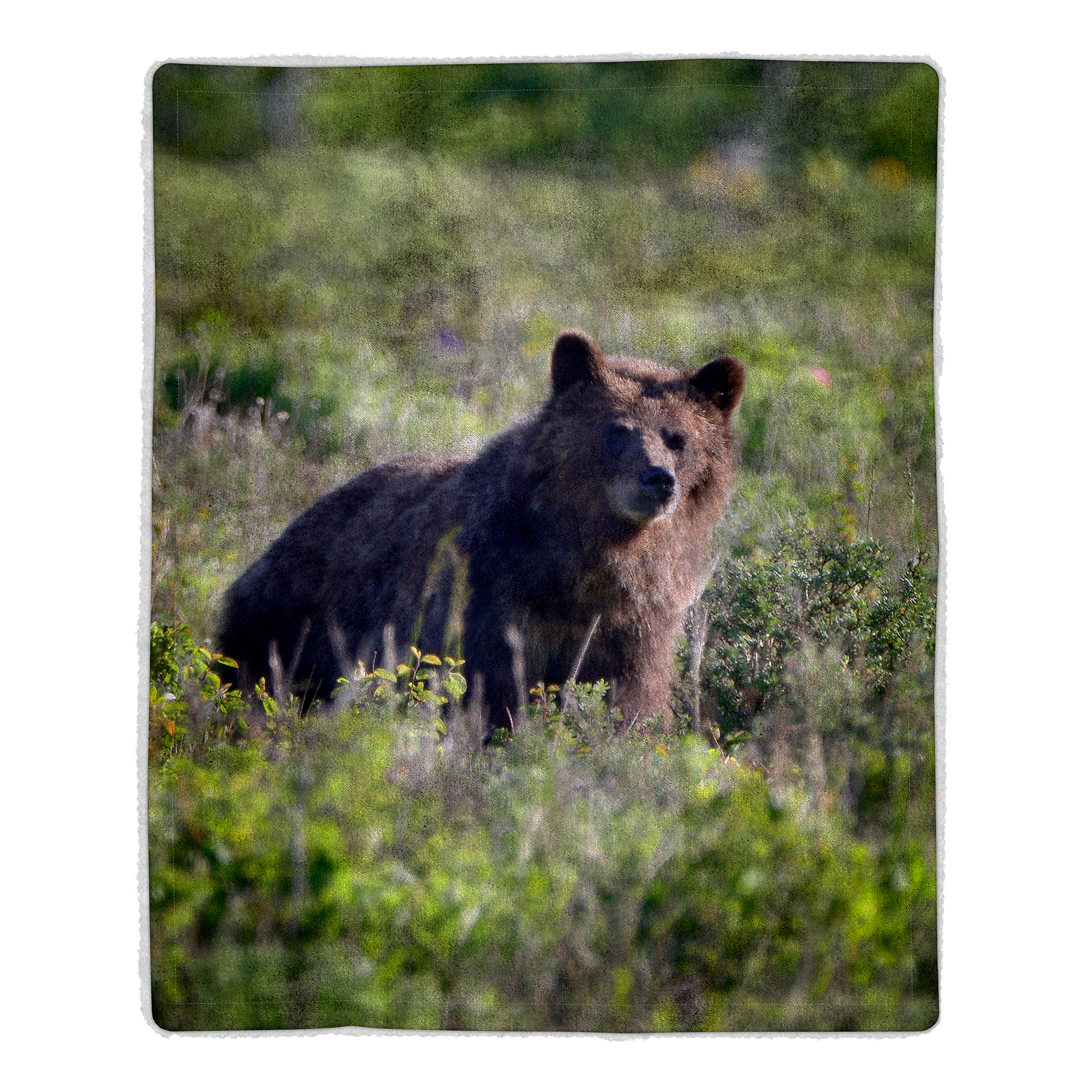 Fluffy Plush Throw Blanket 50 X 60 Inch- Grizzly Bear Print Lightweight Hypoallergenic Bed Or Couch Soft Plush