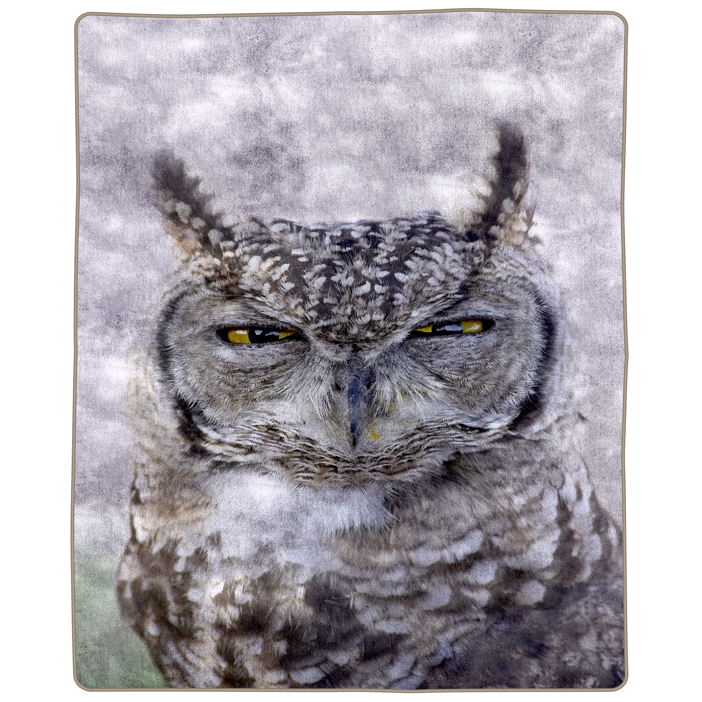 Full Queen Size Luxury Mink Fuzzy Blanket Cute Owl Super Soft 74 X 91 Inch 7.5 Lbs