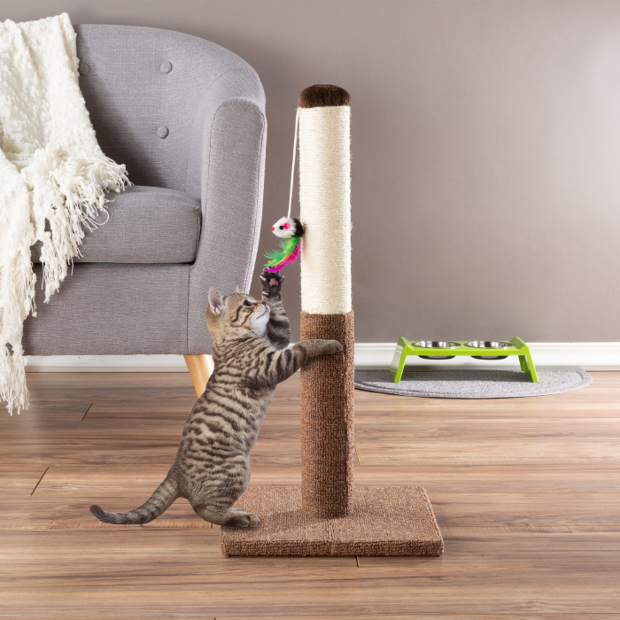 Durable Cat Furniture with Sisal Rope Cat Claw Scratcher with Hanging Ball 31'' Tall Cat Scratching Post