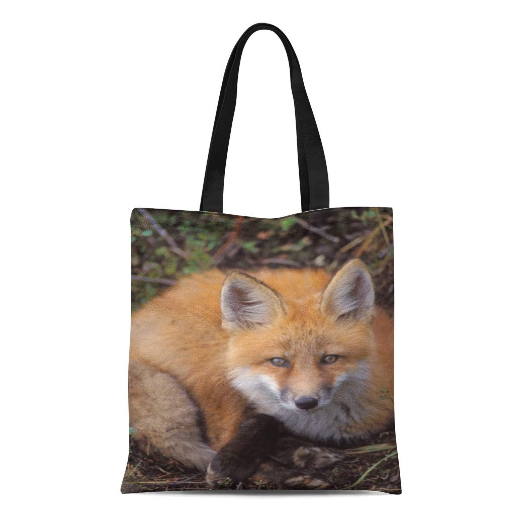 red fox fashion ltd handbags