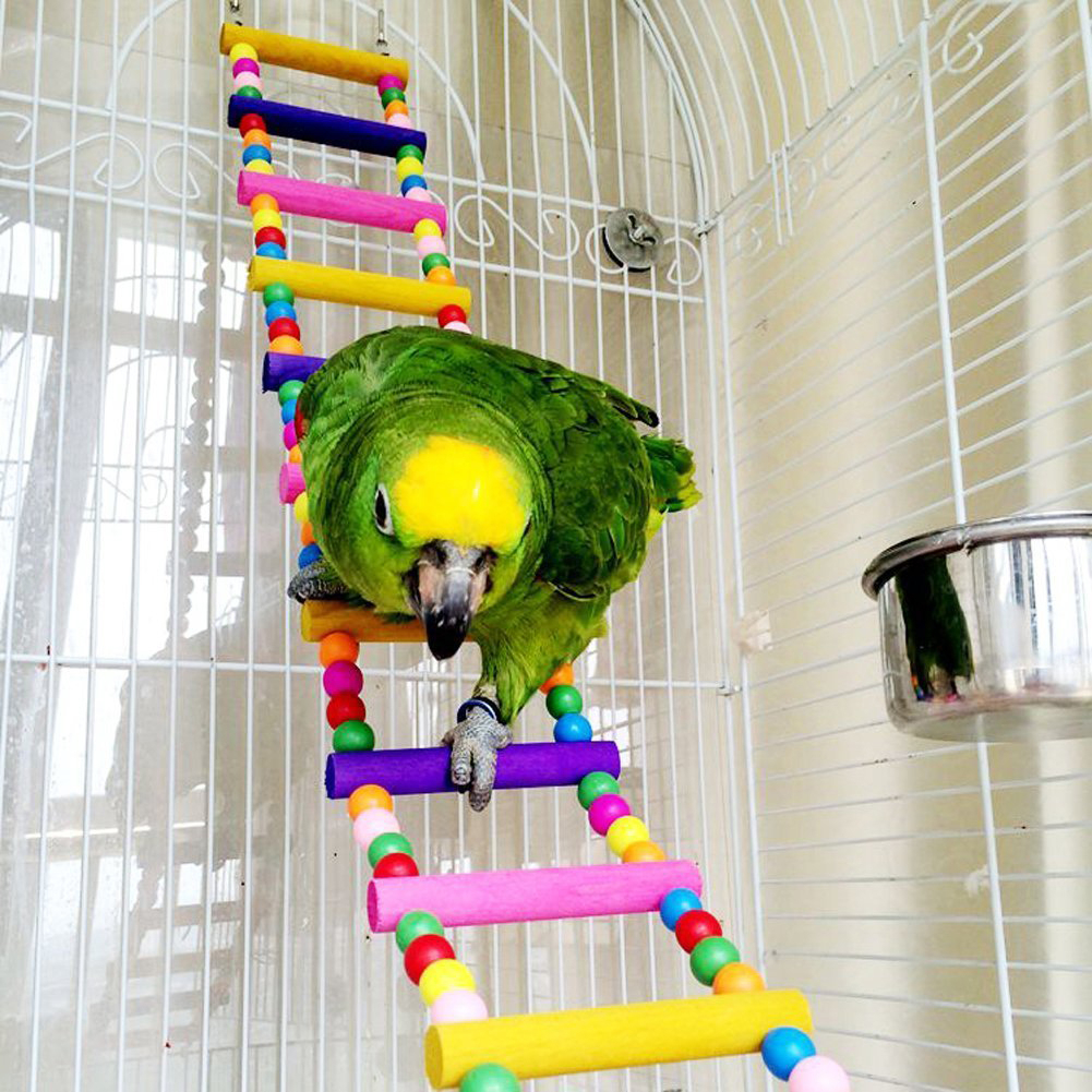 2x Pet Bird Macaw Cockatiel Parrot Hamster Leaf Rings Swing Climb Swing Bite Toy 